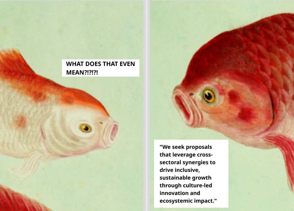 Metaphorical illustration showing the disconnect between innovation funding language and CCIs’ understanding.